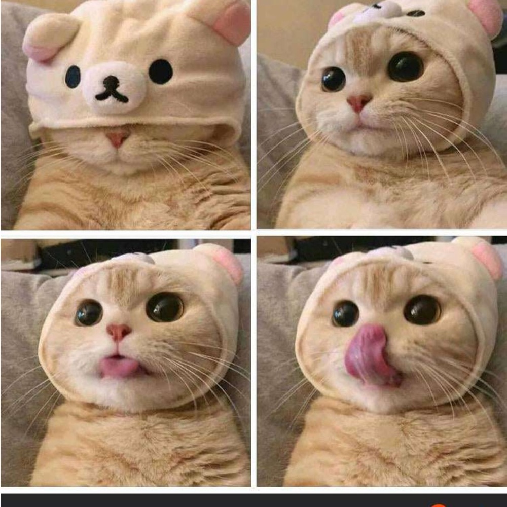 Meet your Posher, Kate